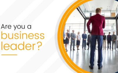 Building Strong Teams with Belbin Team Roles for Business Success