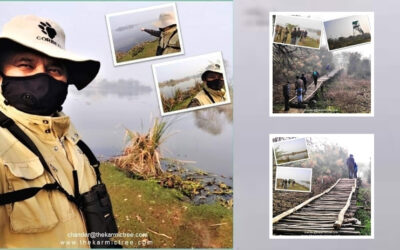 Elevating Leadership: The Meditative Power of Bird Watching for Focus and Resilience