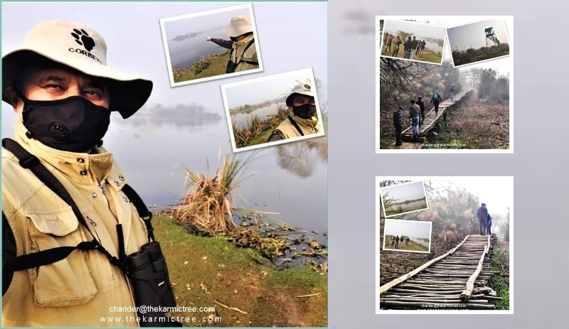 Elevating Leadership: The Meditative Power of Bird Watching for Focus and Resilience