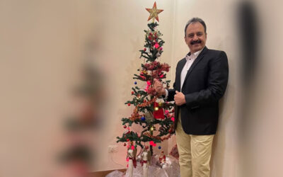 Lessons from the Tree: Finding Light, Joy, and Sparkle All Year Round