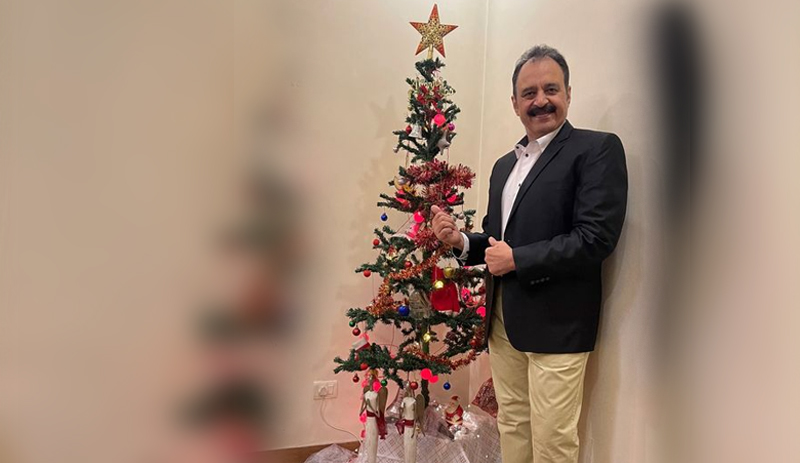 Lessons from the Tree: Finding Light, Joy, and Sparkle All Year Round