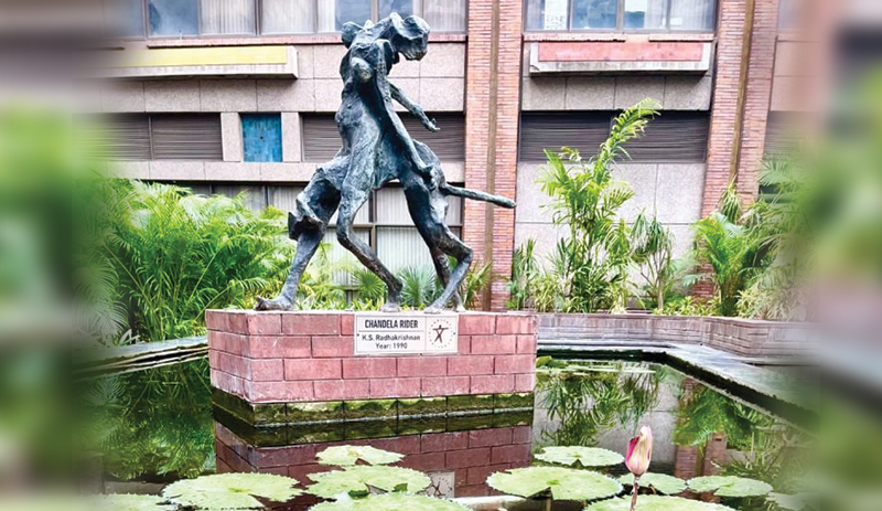 The Gardener’s Wisdom: Lessons from the Lotus and the pond