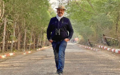 The Art of Birdwatching: A Journey of Focus, Insight, and Clarity