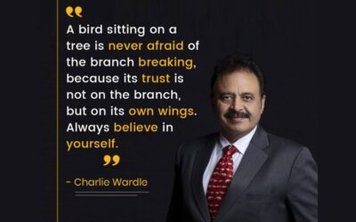 Trusting Your Wings: Lessons in Confidence and Self-Belief
