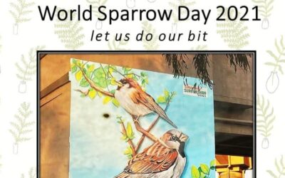 World Sparrow Day: Raising Awareness for Urban Bird Conservation