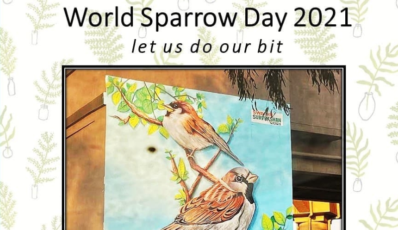 World Sparrow Day: Raising Awareness for Urban Bird Conservation