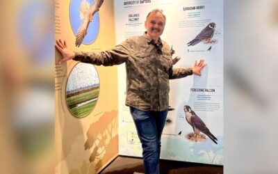 Soaring High: 4 Lessons from Raptors for Facilitators & Corporate Leaders