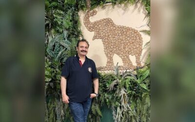 The Elephant on the Wall – and in the Room